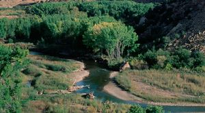 A river meandering through trees and sandy, grassy banks.