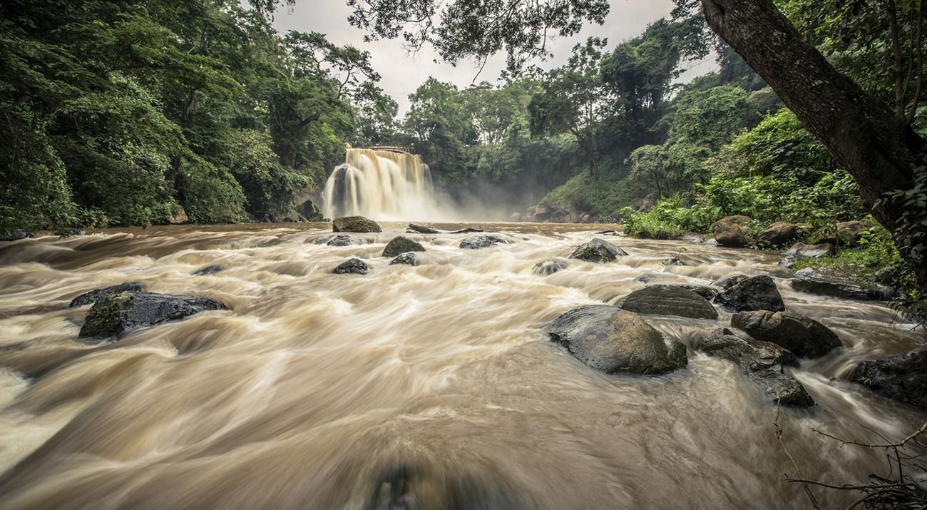 Upper Tana Watershed in Kenya and provide cleaner, more reliable water for Nairobi.