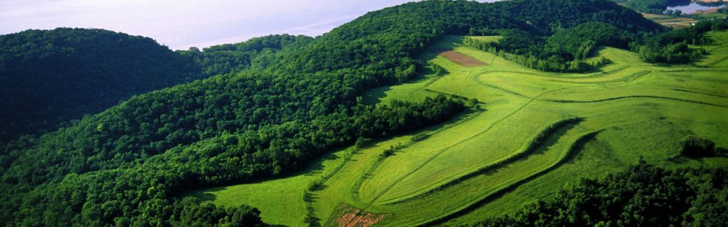 Overlooking the Mississippi River with wooded floodplain and agriculture fields.