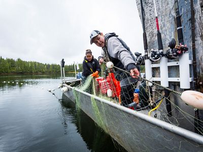 Great Bear Rainforest Salmon Fishing