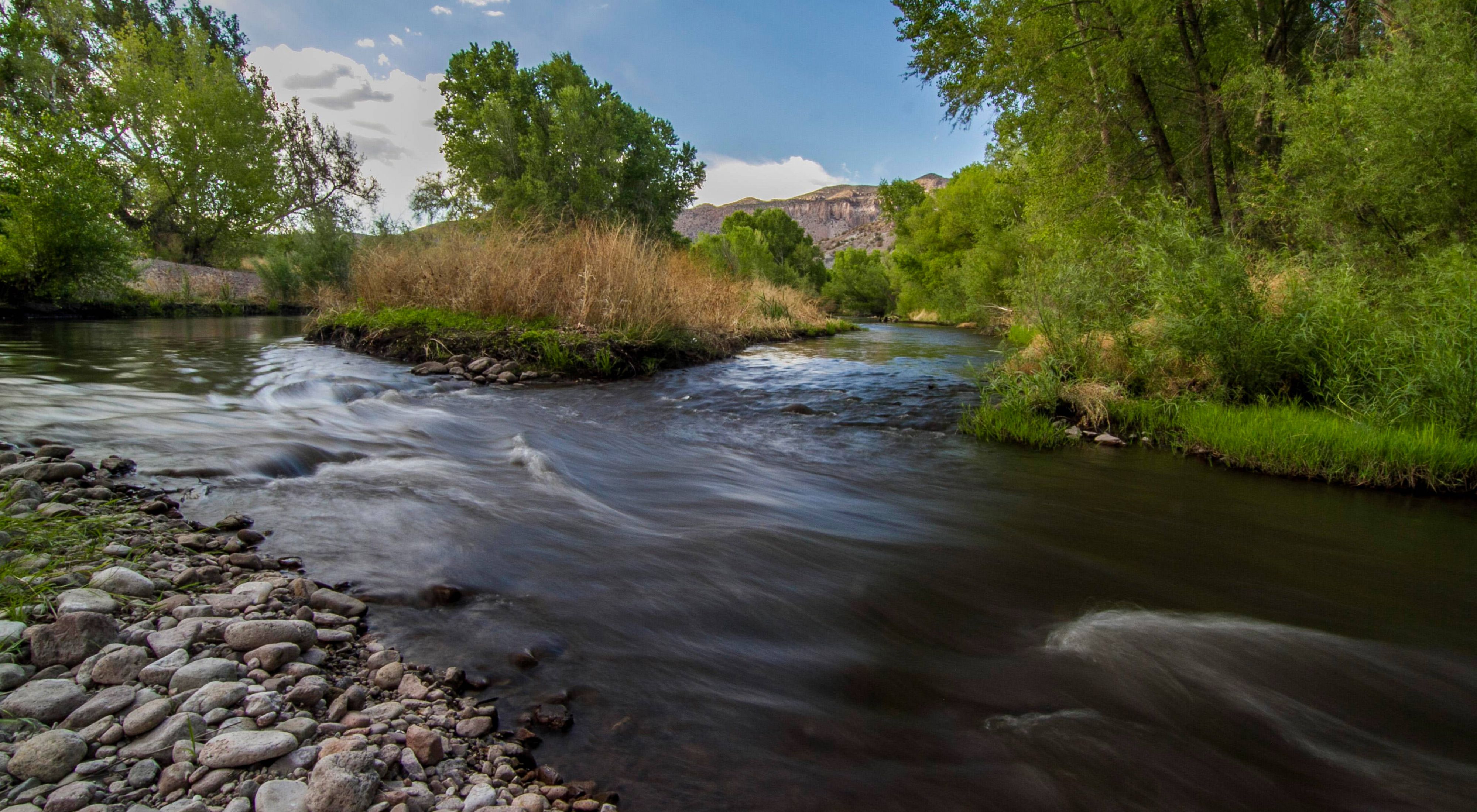 The Gila River flowing past a rocky bank in the foreground with trees and grasses on the far banks.