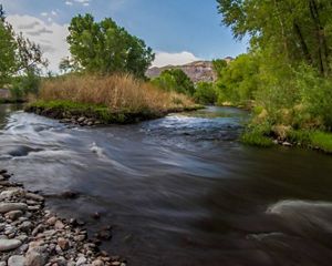 Gila Riparian Preserve