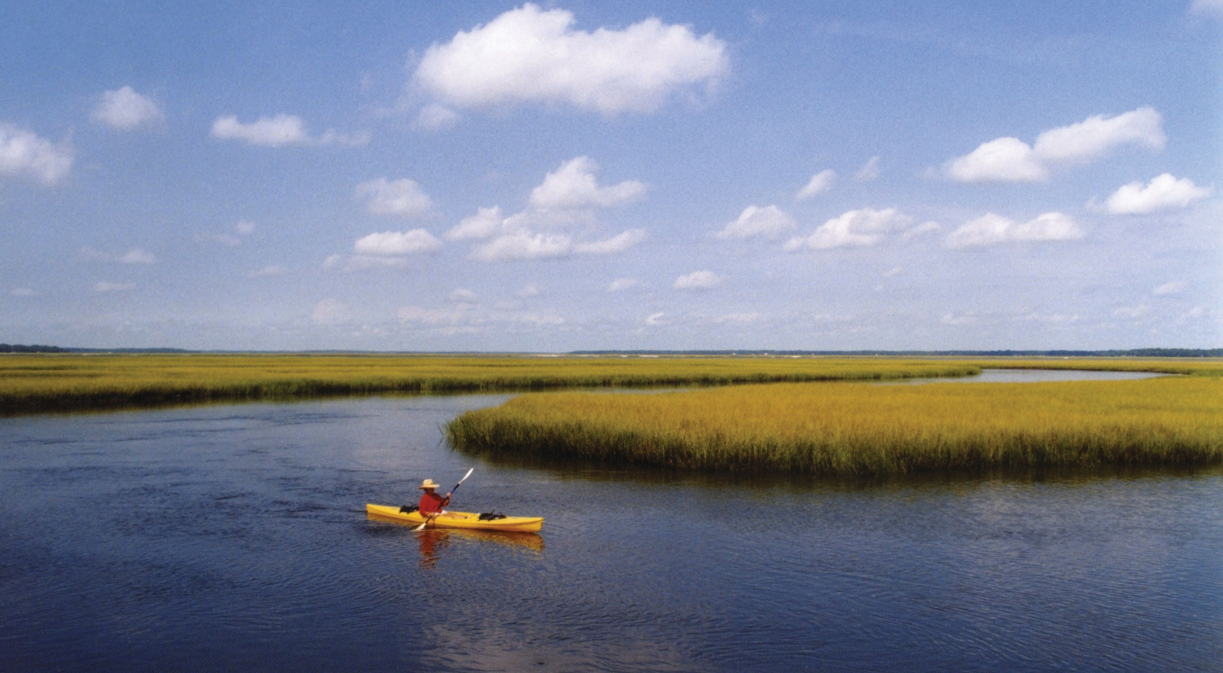 Kayaker in Florida salt marsh.