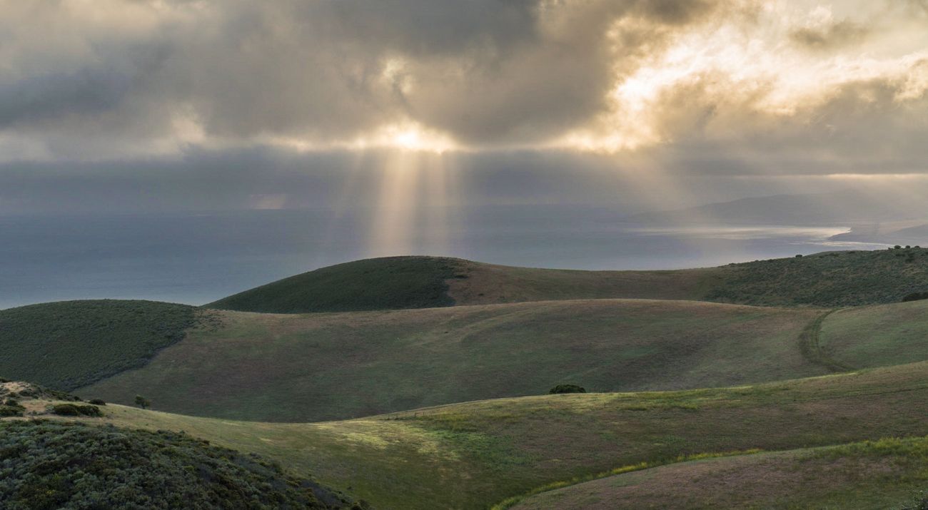 Rolling hills along the shore of the Pacific Ocean.