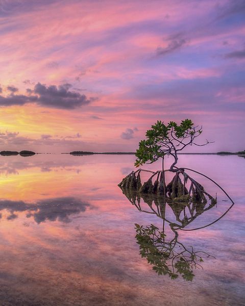 Sunset reflects orange, pink, and purple colors over tranquil waters at dusk.