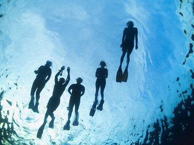 Members of a turtle tagging project snorkel near Kerehikapa Island.
