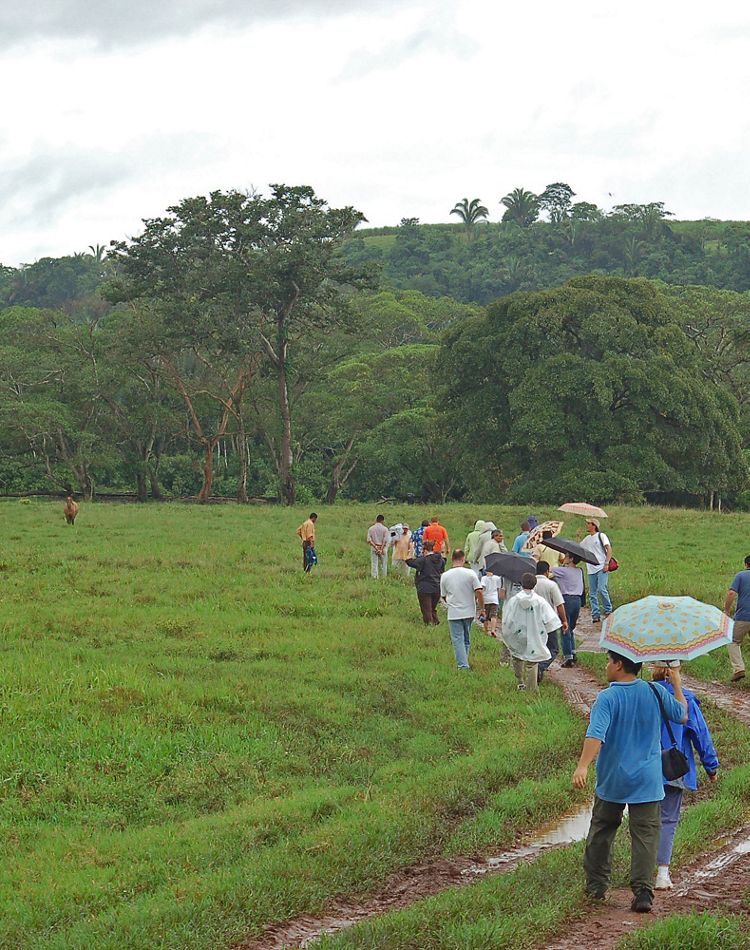 Soluciones financieras