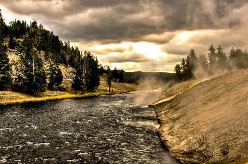 Overcast river's edge in Yellowstone National Park.