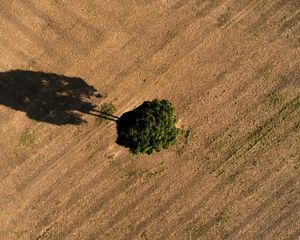 on Mariana Menoli's soybean farm in the Santarem area of Brazil.