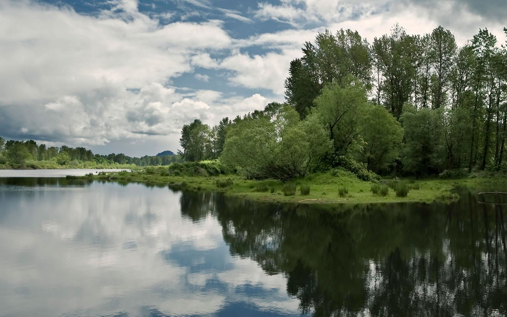 With extensive habitats increasingly endangered in Oregon's Willamette Valley, the Willamette Confluence project includes six miles of river corridor, floodplain forest, wetlands, upland oak woodlands and native prairie.