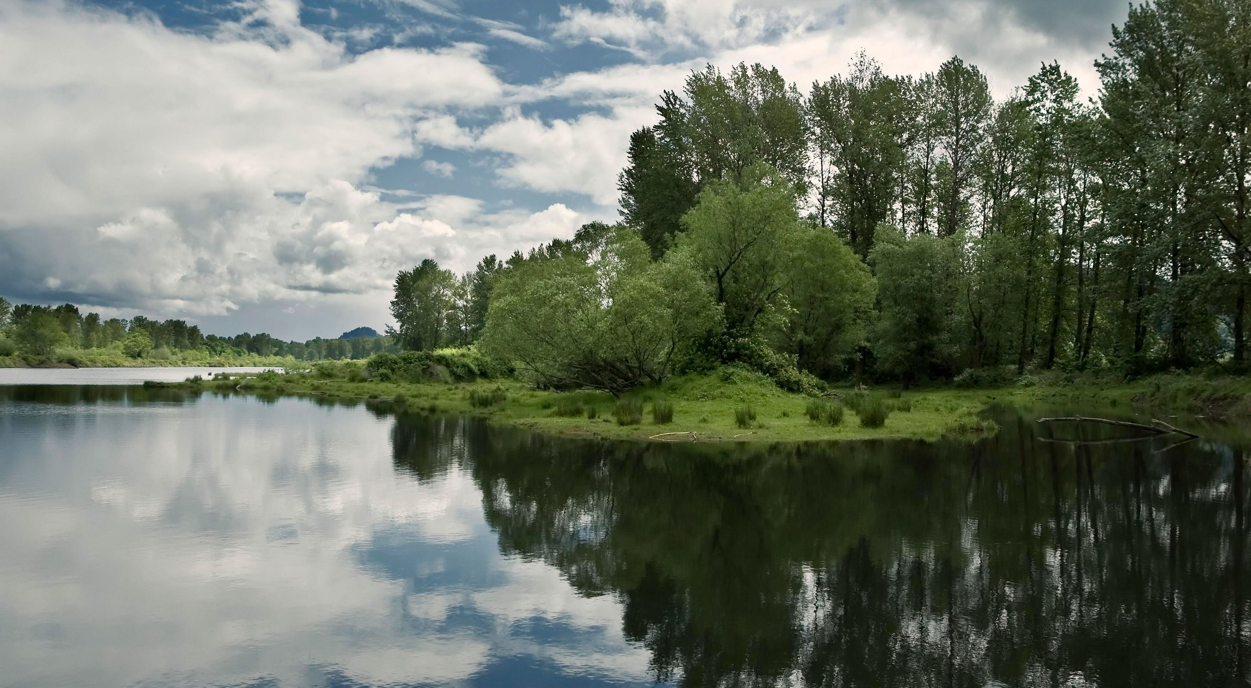 With extensive habitats increasingly endangered in Oregon's Willamette Valley, the Willamette Confluence project includes six miles of river corridor, floodplain forest, wetlands, upland oak woodlands and native prairie.