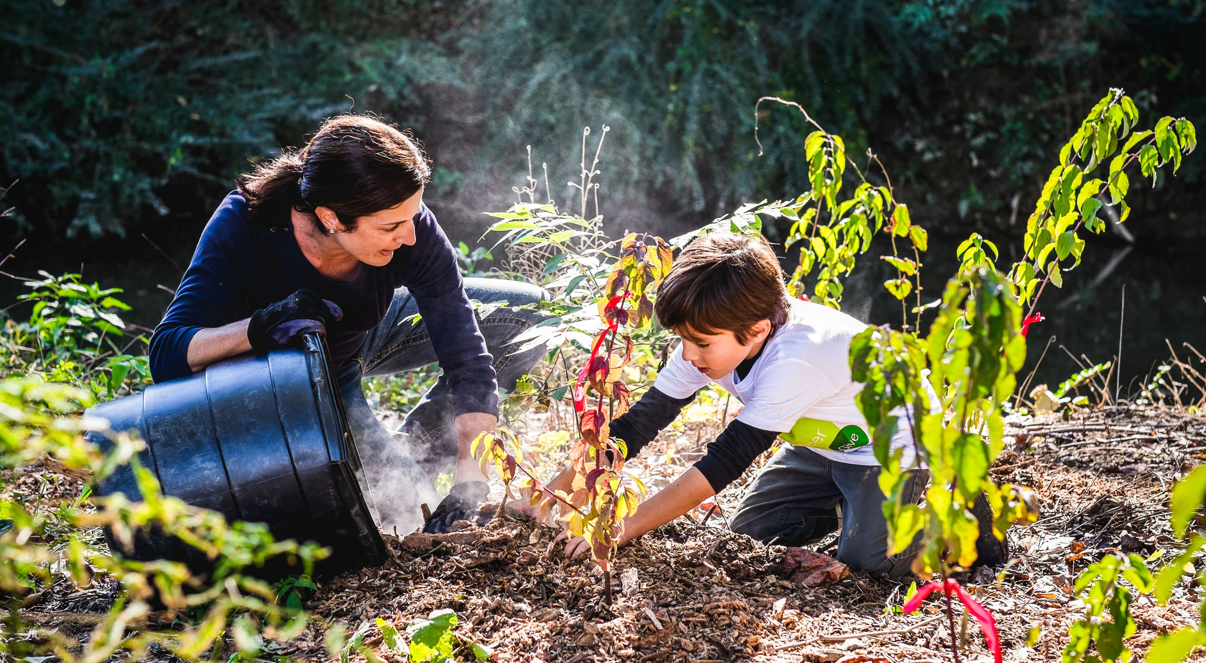 An adult and child plant mulch around a newly planted tree.