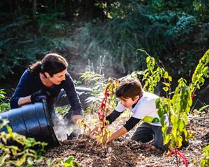 An adult and child place mulch around a newly planted tree.