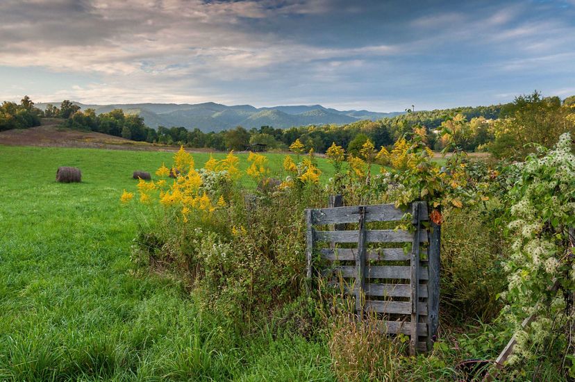 A weathered wooden gate is overgrown by a tall, flowering bush. The mowed pastured behind the gate stretches to a line of tall trees. A mountain ridge rises along the horizon.