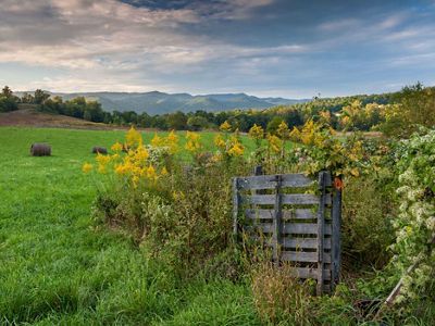A weathered wooden gate is overgrown by a tall, flowering bush. The mowed pastured behind the gate stretches to a line of tall trees. A mountain ridge rises along the horizon.