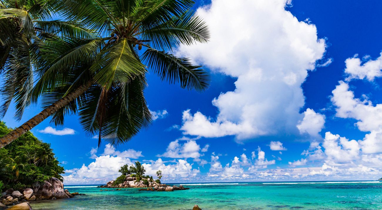 tropical beach
