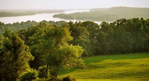 Image of river and trees.