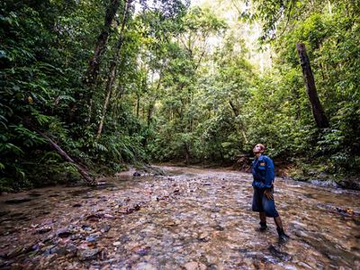 Un miembro de la comunidad de patrulla de bosque observa las copas de los árboles en Kalimantan.