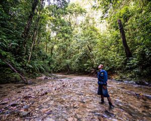 An Indonesian man stands in a shallow stream and looks up to the surrounding forest.