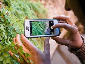 woman uses iPhone to photograph foliage while hiking