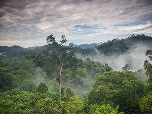 reductions needed to reach the goals of the Paris Climate Accord can be reached through changing how we manage ecosystems at scale.