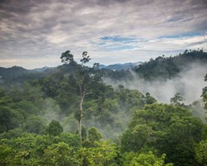 reductions needed to reach the goals of the Paris Climate Accord can be reached through changing how we manage ecosystems at scale.