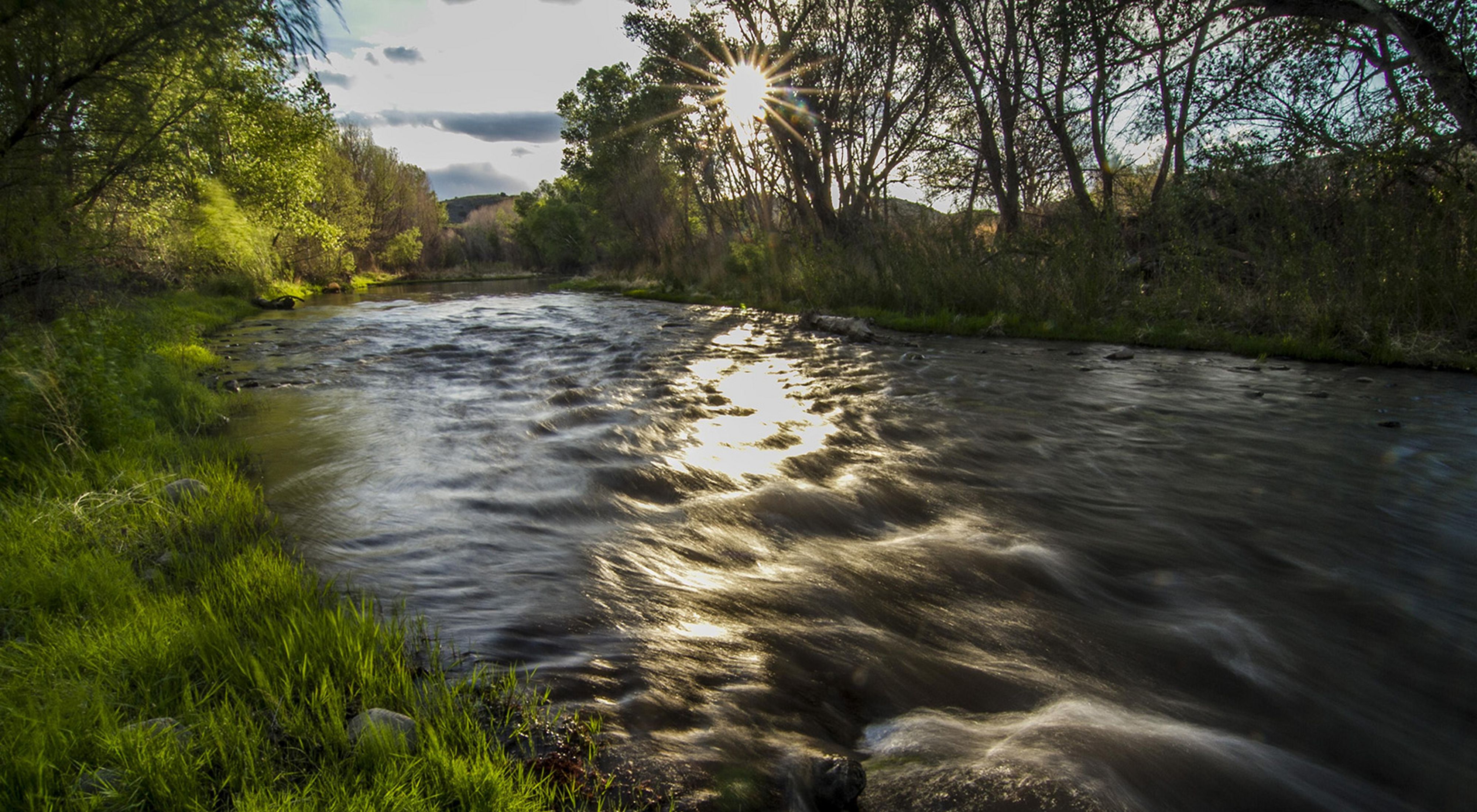 Time-lapse photo of rapidly flowing river lined by trees and backlit by sunshine.