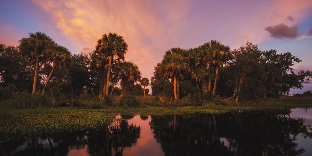 Sunsets over Florida ranchland with palms and a pond.