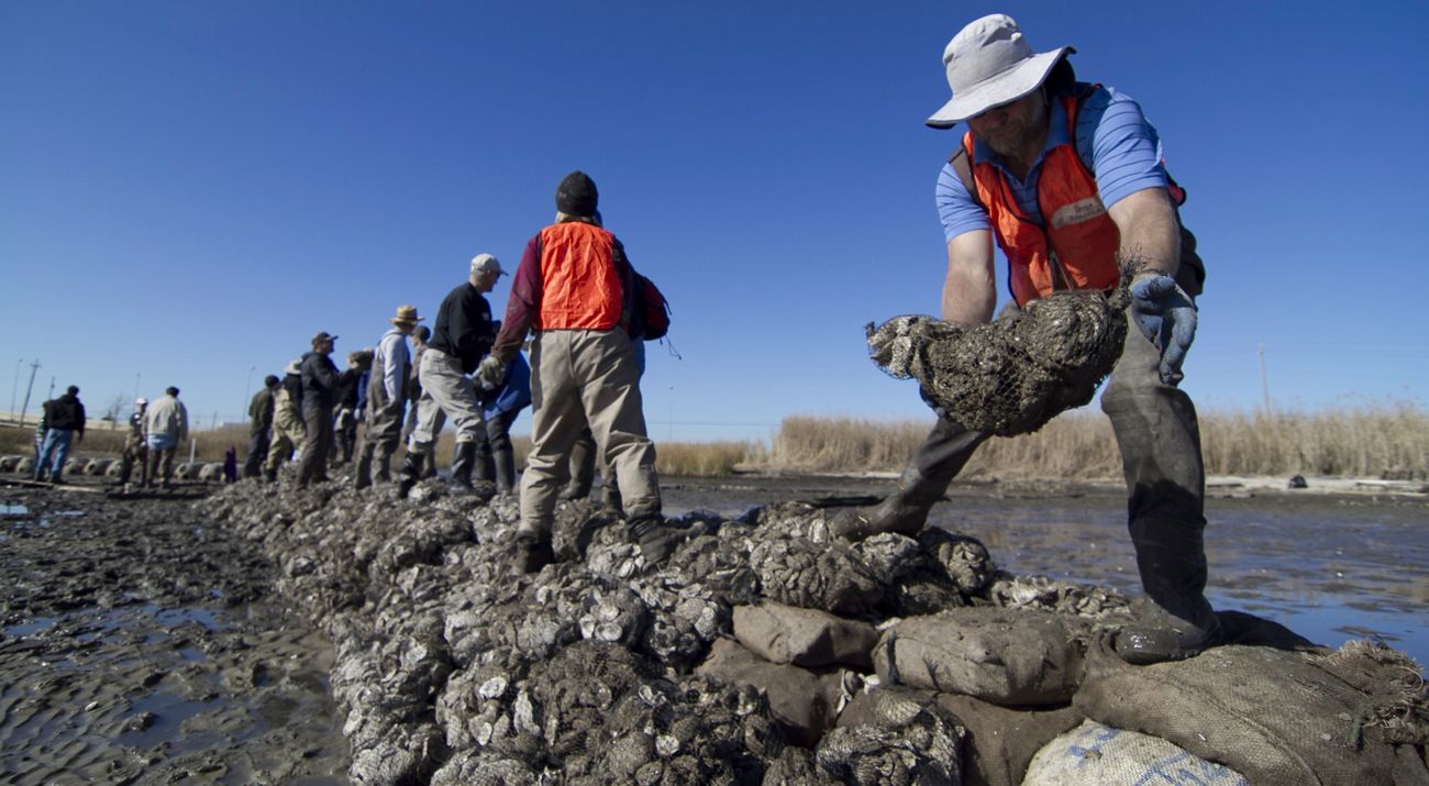A group of people move large rocks and shells around a jetty.