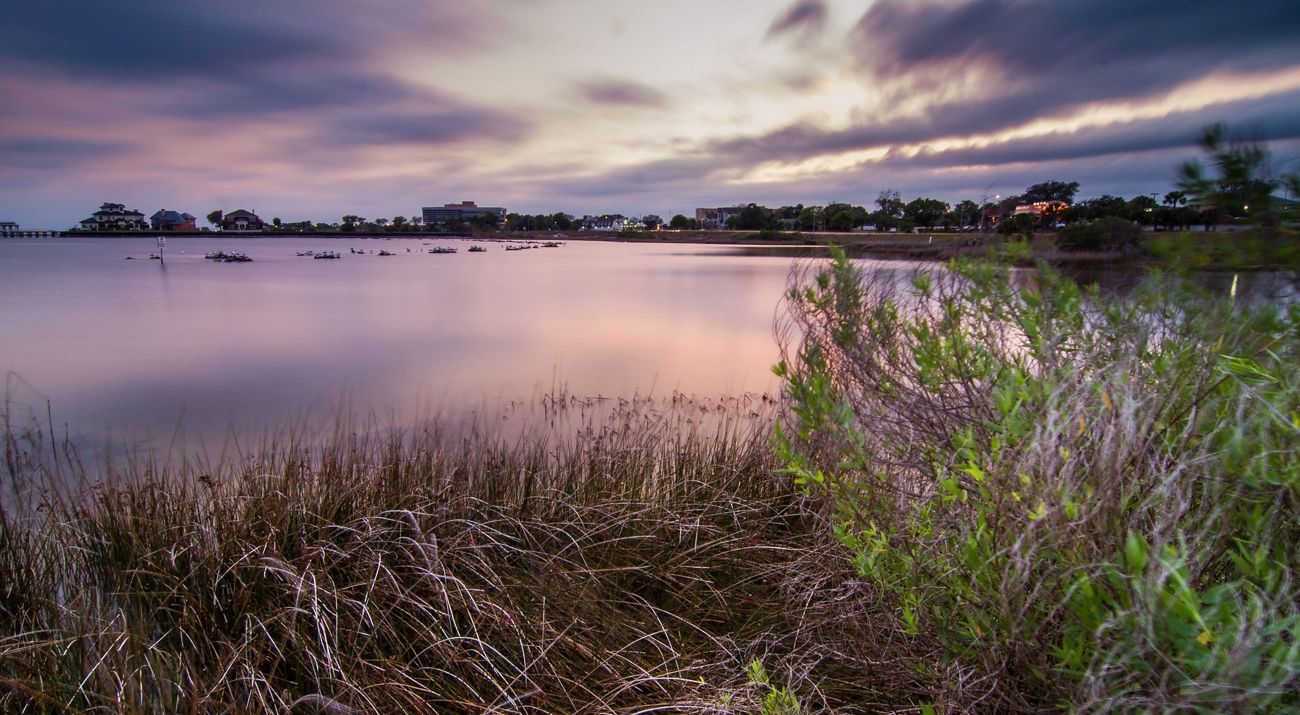 Buildings and wetland vegetation viewed along the shoreline of a bay at sunset.