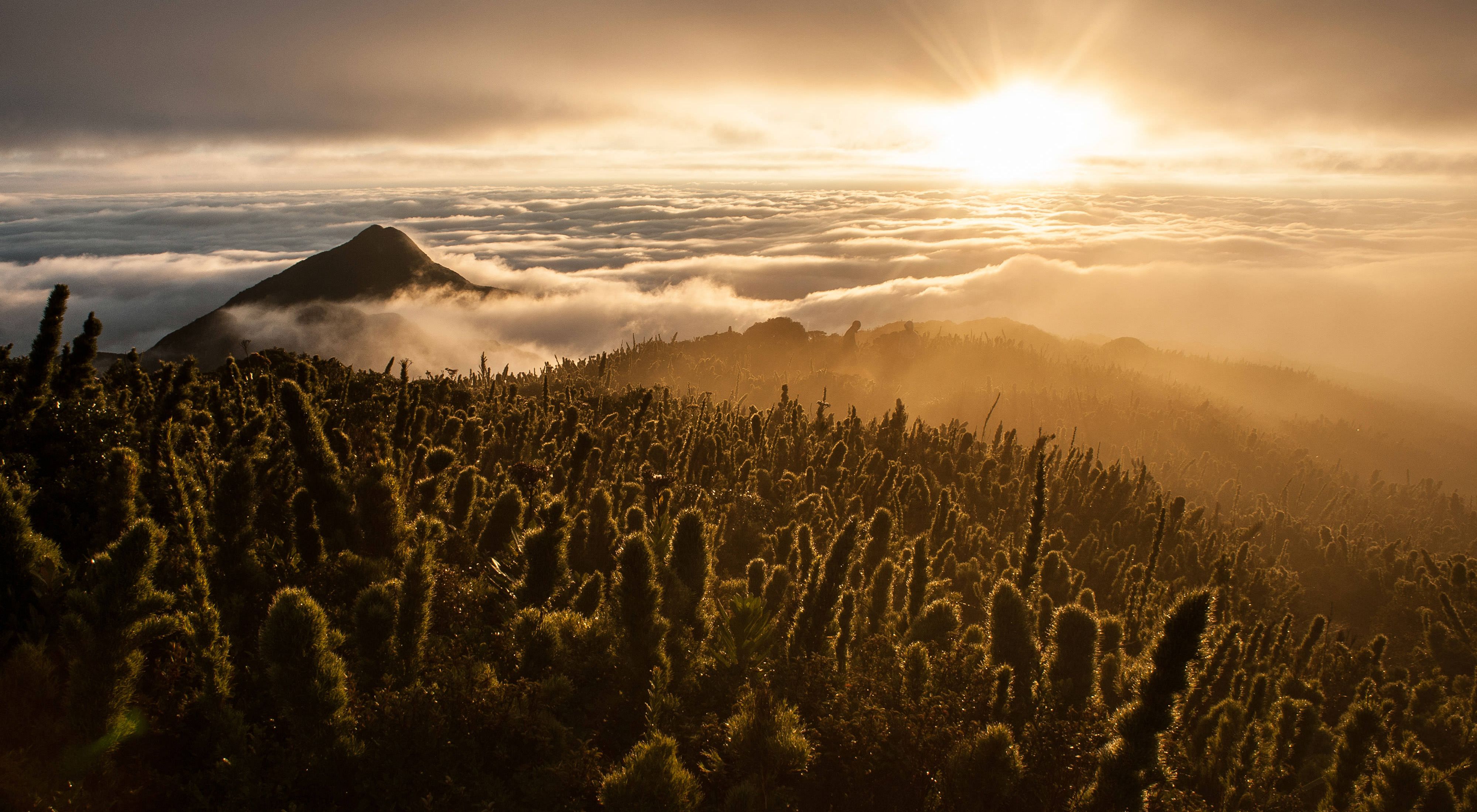 Sunrise above the high fields Caratuva, the south of Brazil's second highest mountain.