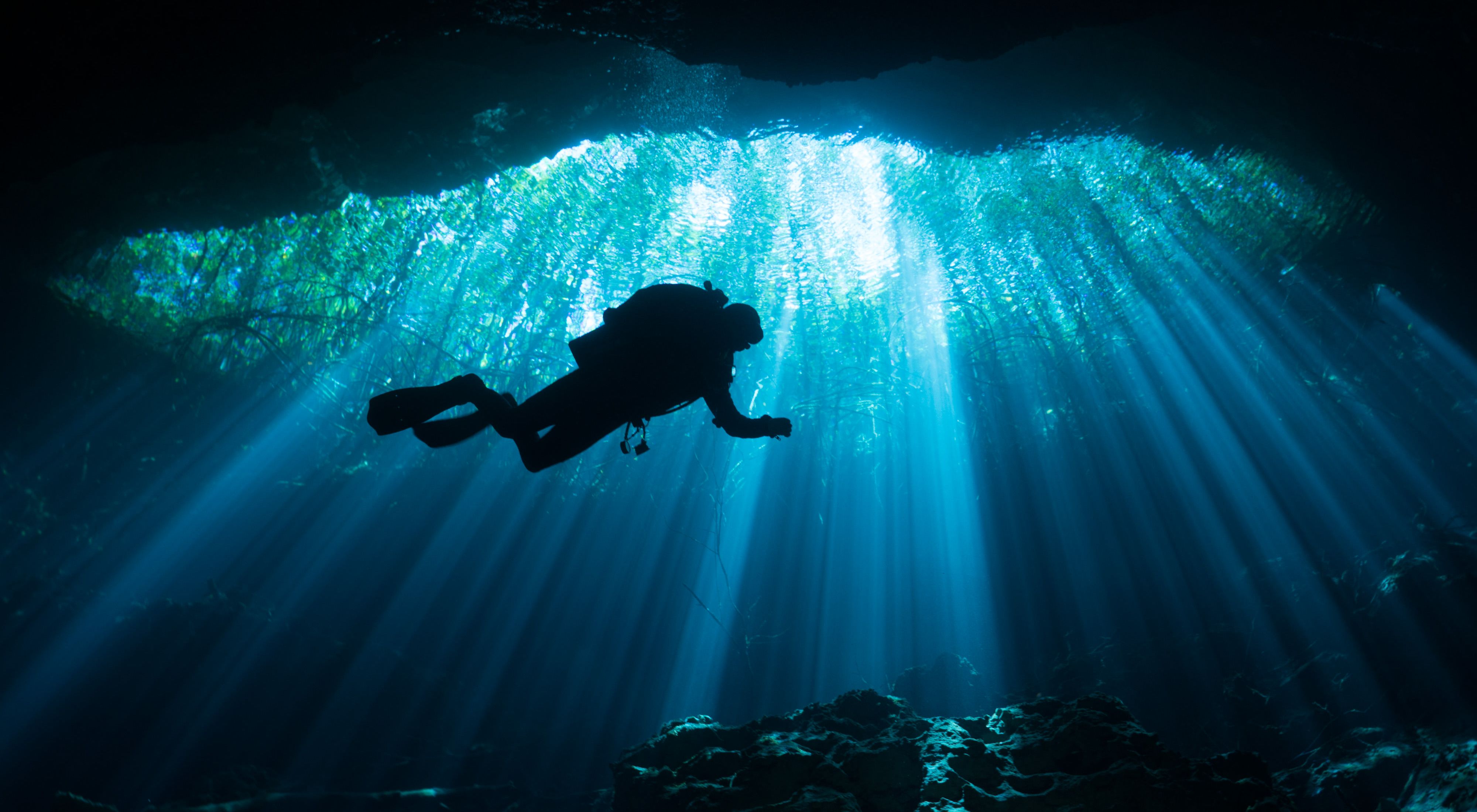 A scuba diver hovers amidst crisp light rays  shining through the trees down into Mexico's Yucatan cave system.  