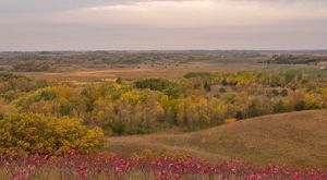 Ordway Prairie Preserve