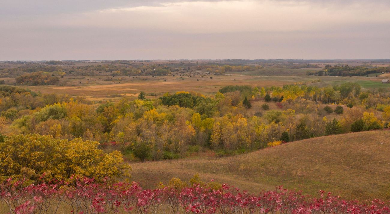 Ordway Prairie Preserve