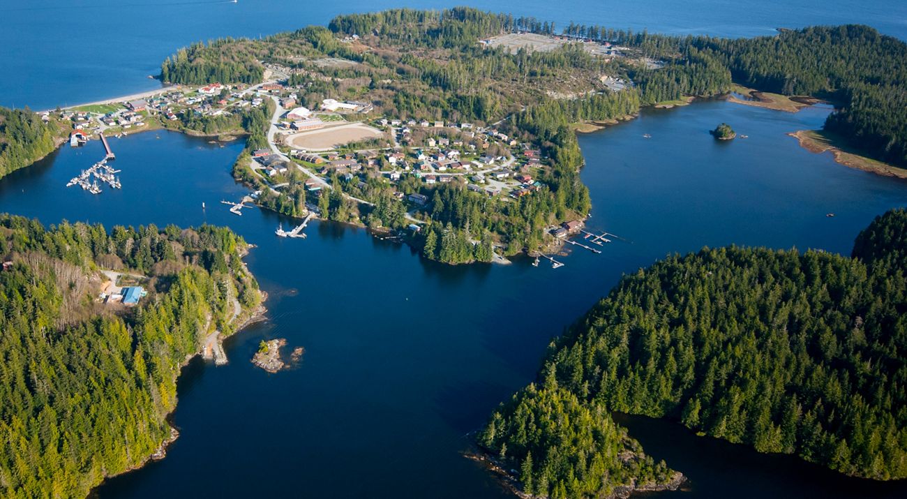 aerial view of a village surrounded by trees and water