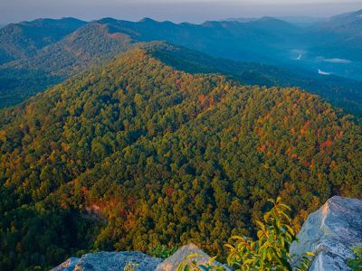 Scattered trees with leaves of orange and red dot a forested landscape covering a mountain ridgetop.