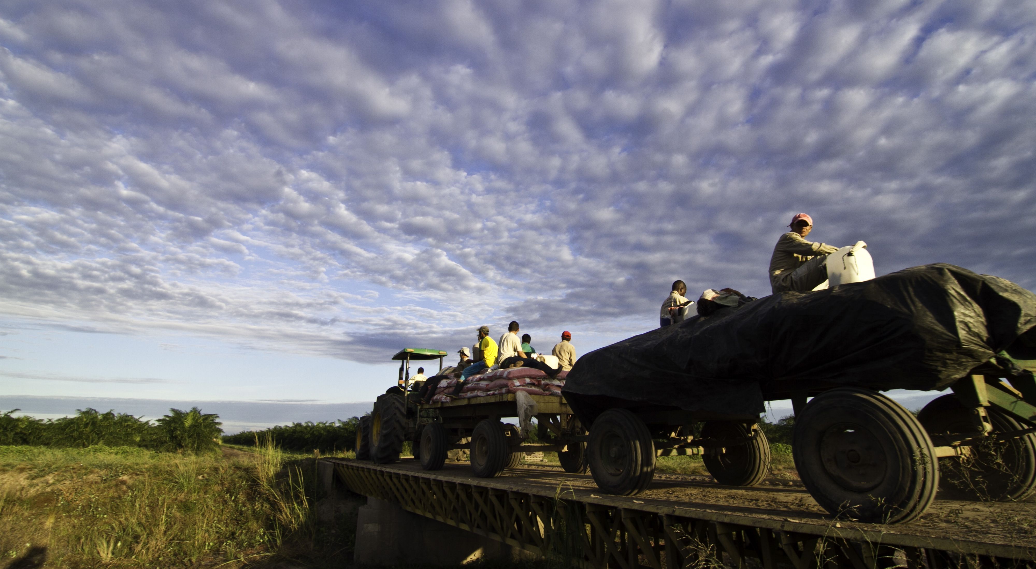 Workers on tractor equipment cross a bridge on a palm oil farm.