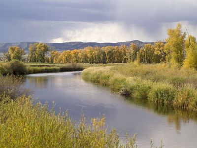 A river flowing through grass and wetlands.