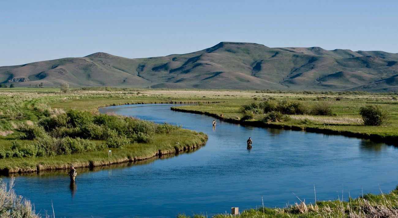 Landscape view of Silver Creek Preserve, with a few people standing waist-deep in the creek as they fly-fish.