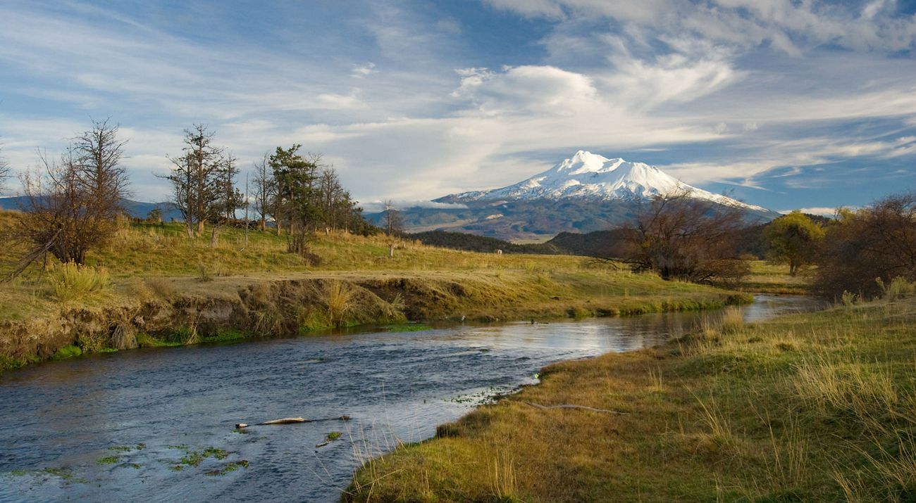 Mount Shasta in the background with a creek in the foreground.