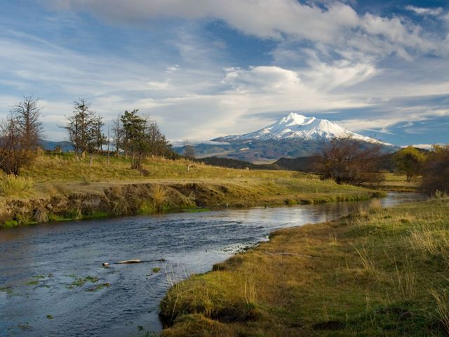A river winding between grassy banks with snow-capped Mount Shasta in the distance.