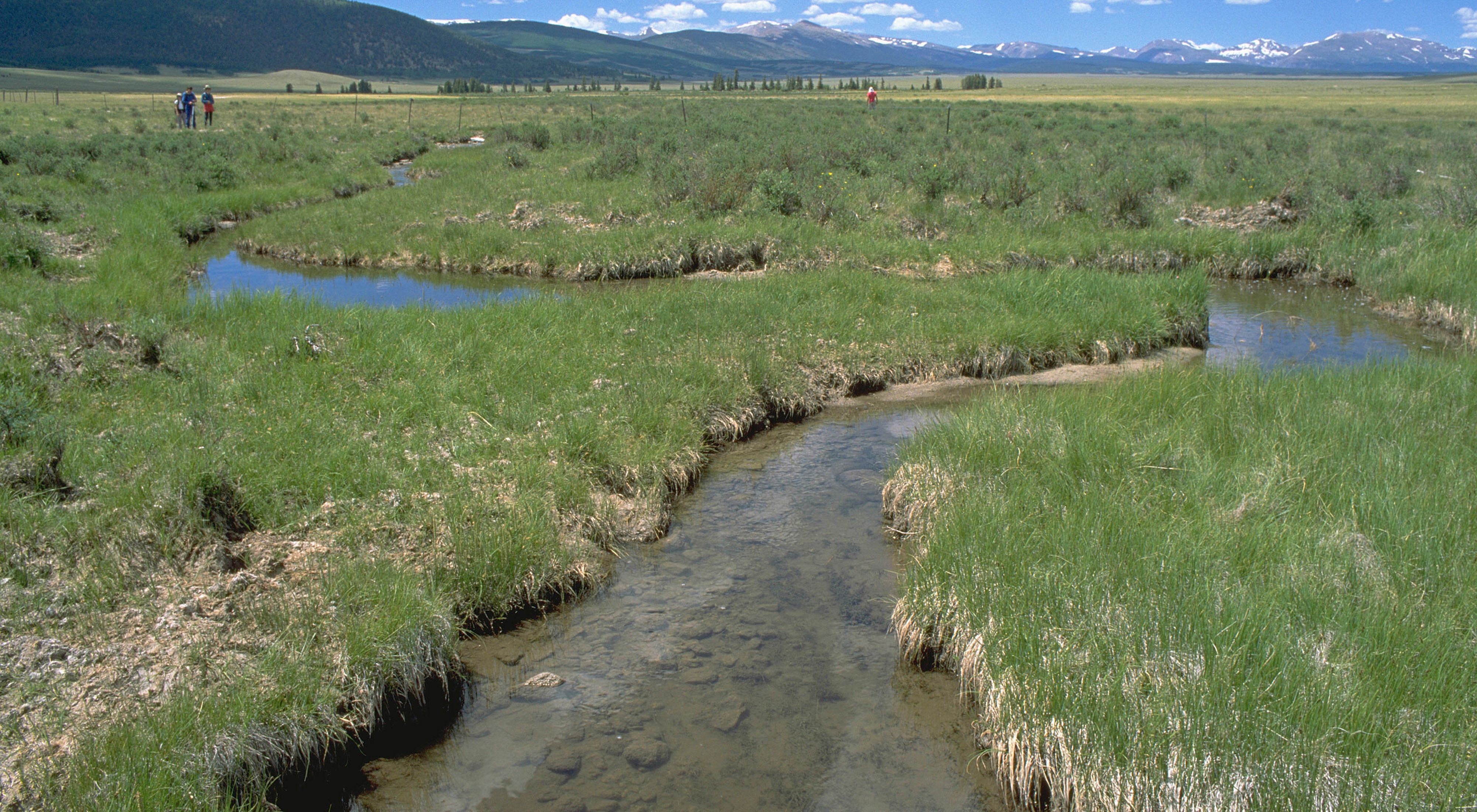 A shallow meandering creek running through grassy fields with mountains in the far distance.