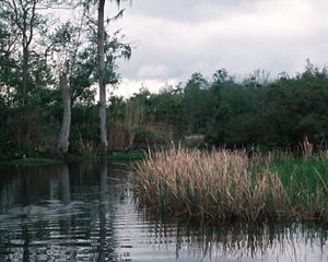 Three Mile Creek in Mobile-Tensaw River Delta in Alabama of the United States. The Conservancy has teamed up with partners like the State of Alabama Forever Wild Program and Ducks Unlimited to preserve over 47,000 acres in the Delta to protect the habitat of 67 rare, imperiled, threatened or endangered species that live there.