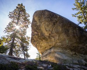 View of large boulder surrounded by tall trees.