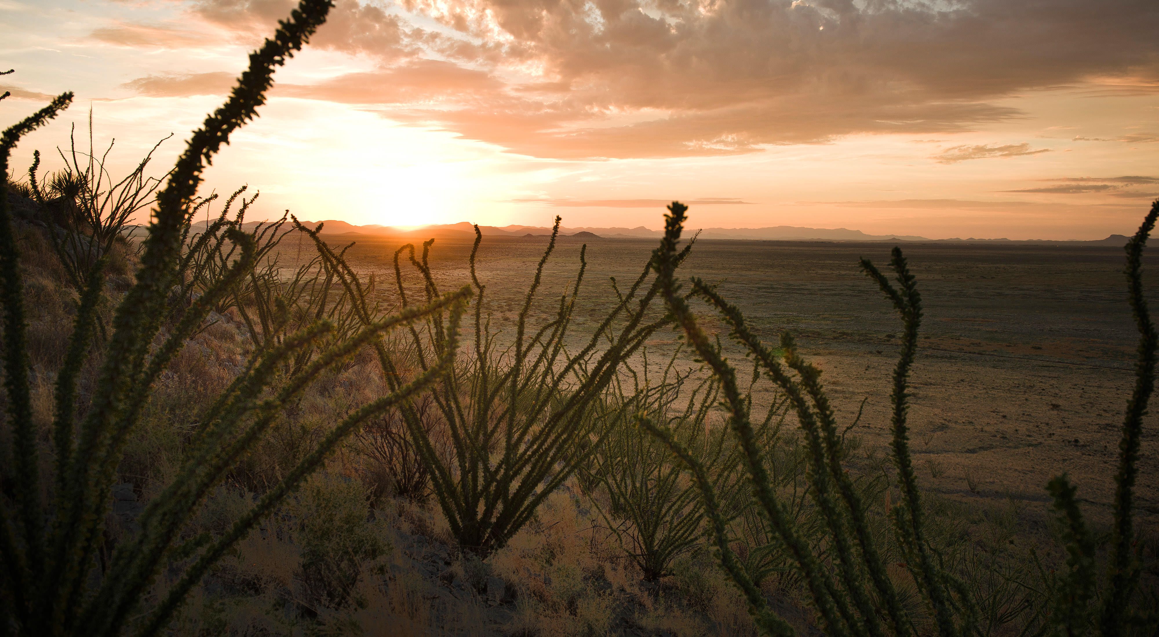 The setting sun drops below the horizon of a desert lan