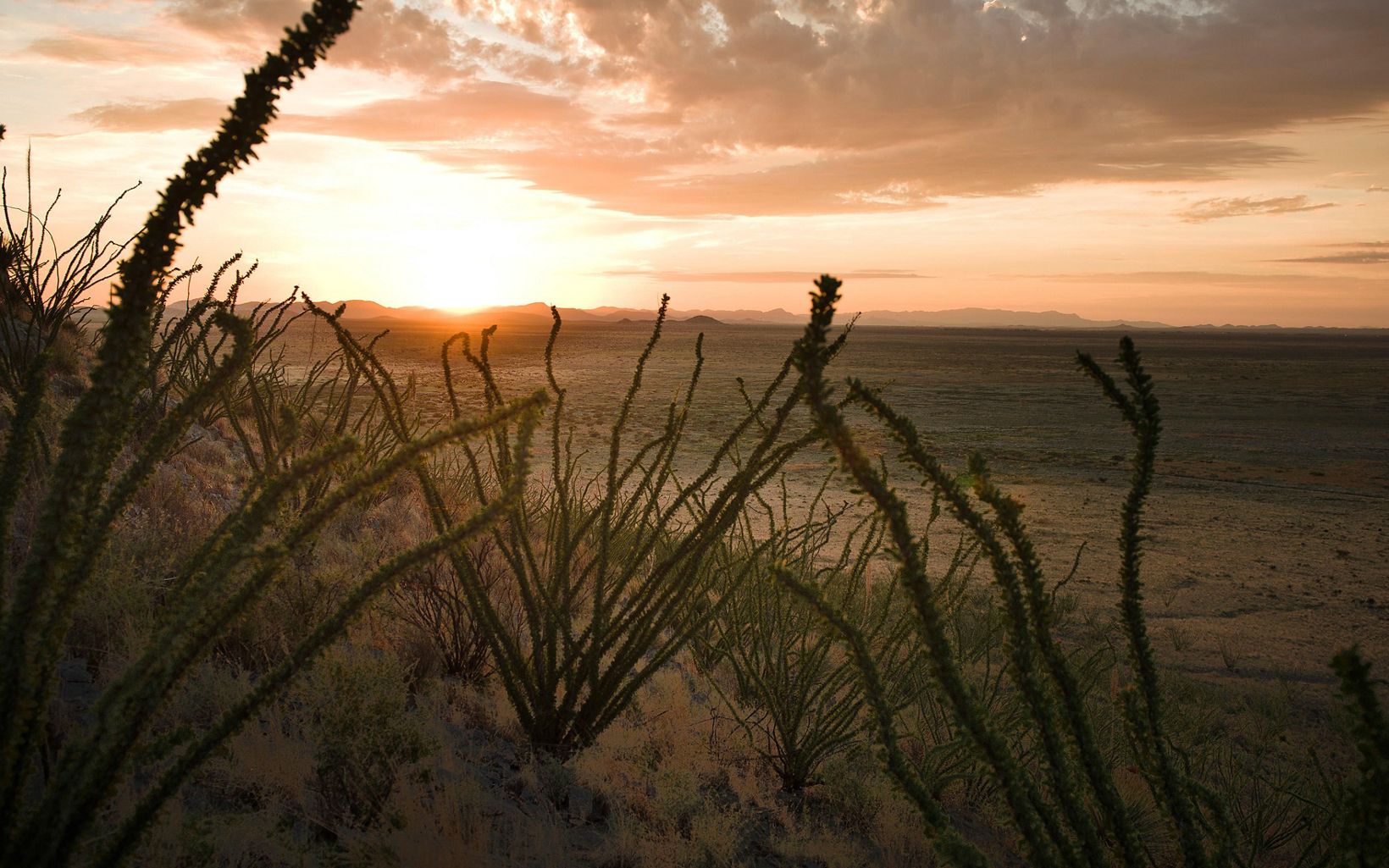 Rancho El Uno A 46,000-acre ranch in northern Mexico’s Janos Valley. © Dave Lauridsen
