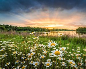 Sunrise at Blue Grass Fish & Wildlife Area, near Chandler, Indiana.