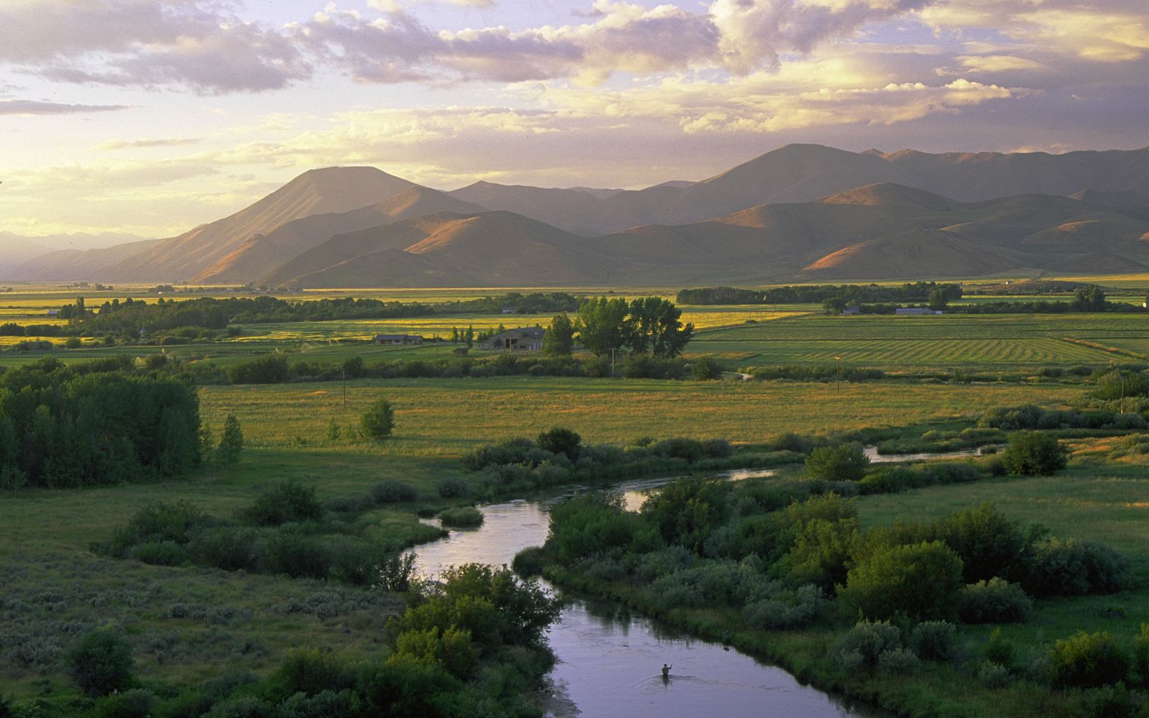 An angler stands in Silver Creek with fields and mountains in the distance.