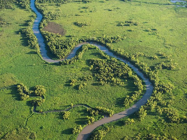 A river delta in the Atchafalaya River region of Louisiana.