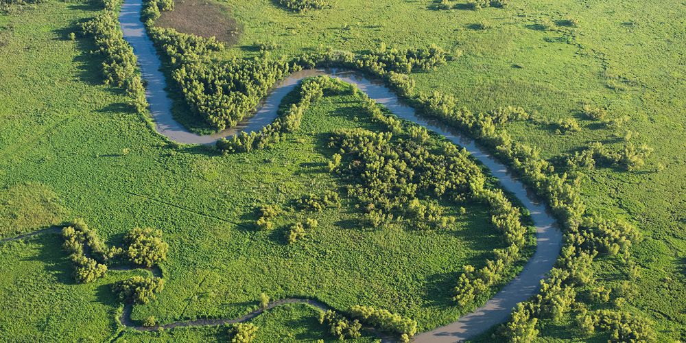 Aerial view of a river winding through a delta region.